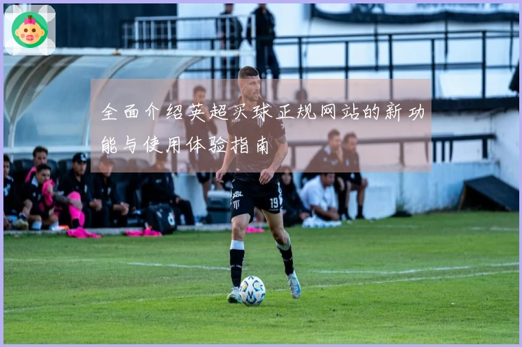 全面介绍英超买球正规网站的新功能与使用体验指南