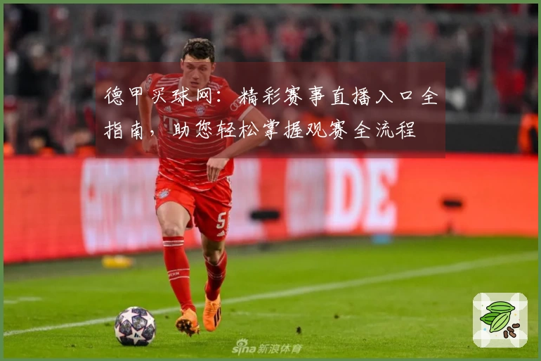 德甲买球网：精彩赛事直播入口全指南，助您轻松掌握观赛全流程