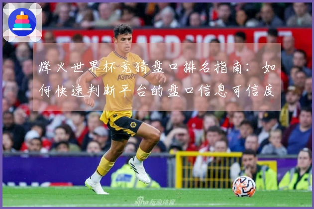 烽火世界杯竞猜盘口排名指南：如何快速判断平台的盘口信息可信度