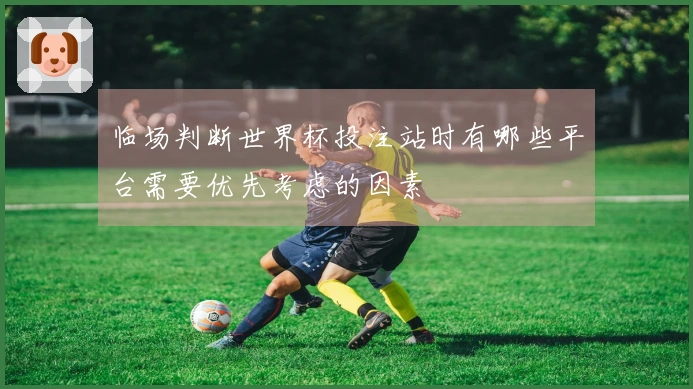 临场判断世界杯投注站时有哪些平台需要优先考虑的因素
