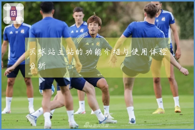买球站主站的功能介绍与使用体验分析