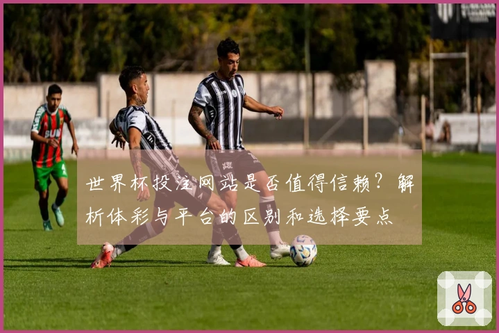 世界杯投注网站是否值得信赖？解析体彩与平台的区别和选择要点