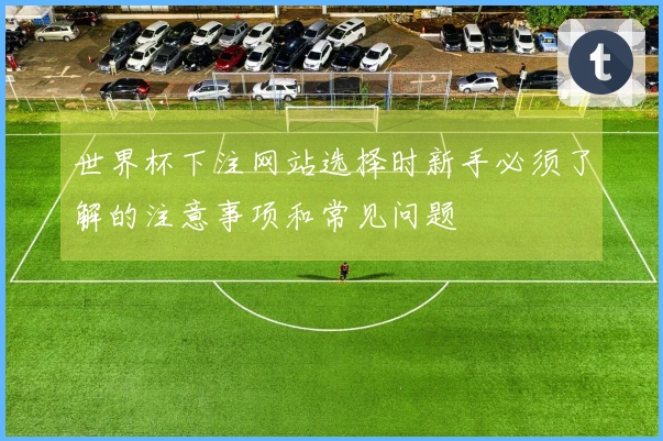 世界杯下注网站选择时新手必须了解的注意事项和常见问题