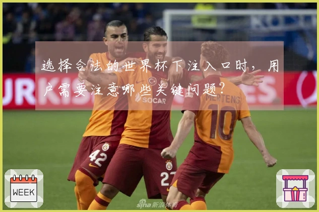 选择合法的世界杯下注入口时，用户需要注意哪些关键问题？