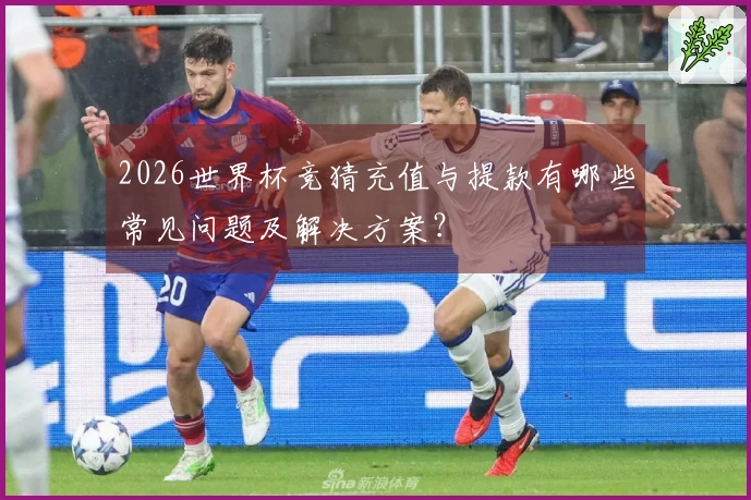 2026世界杯竞猜充值与提款有哪些常见问题及解决方案？