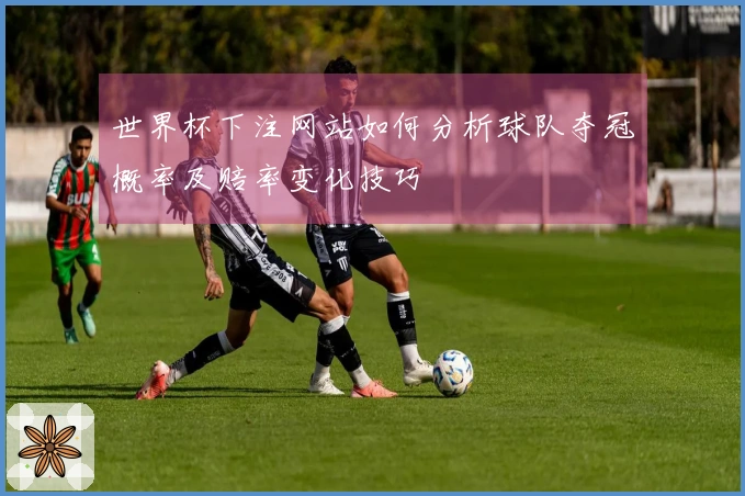 世界杯下注网站如何分析球队夺冠概率及赔率变化技巧