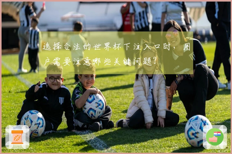 选择合法的世界杯下注入口时，用户需要注意哪些关键问题？