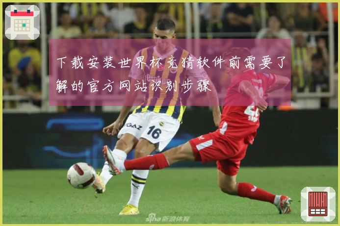 下载安装世界杯竞猜软件前需要了解的官方网站识别步骤